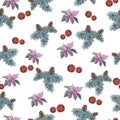 Pine branches with cones, beautiful poinsettia and Christmas balls on a white background.